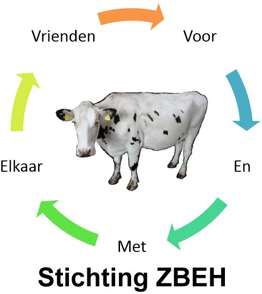 Stichting ZHEB